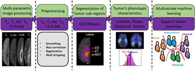 Multivariate Analysis of Preoperative Magnetic Resonance Imaging Reveals Transcriptomic Classification of de novo Glioblastoma Patients